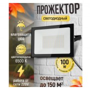 Прожектор светодиодный 100 ватт от сети 220В